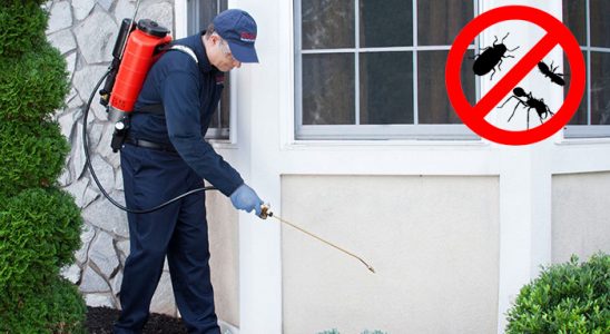 Derinkuyu Böcek ve Haşere İlaçlama böcek ilaçlama ve haşere kontrolü — ilaclama-tr.com